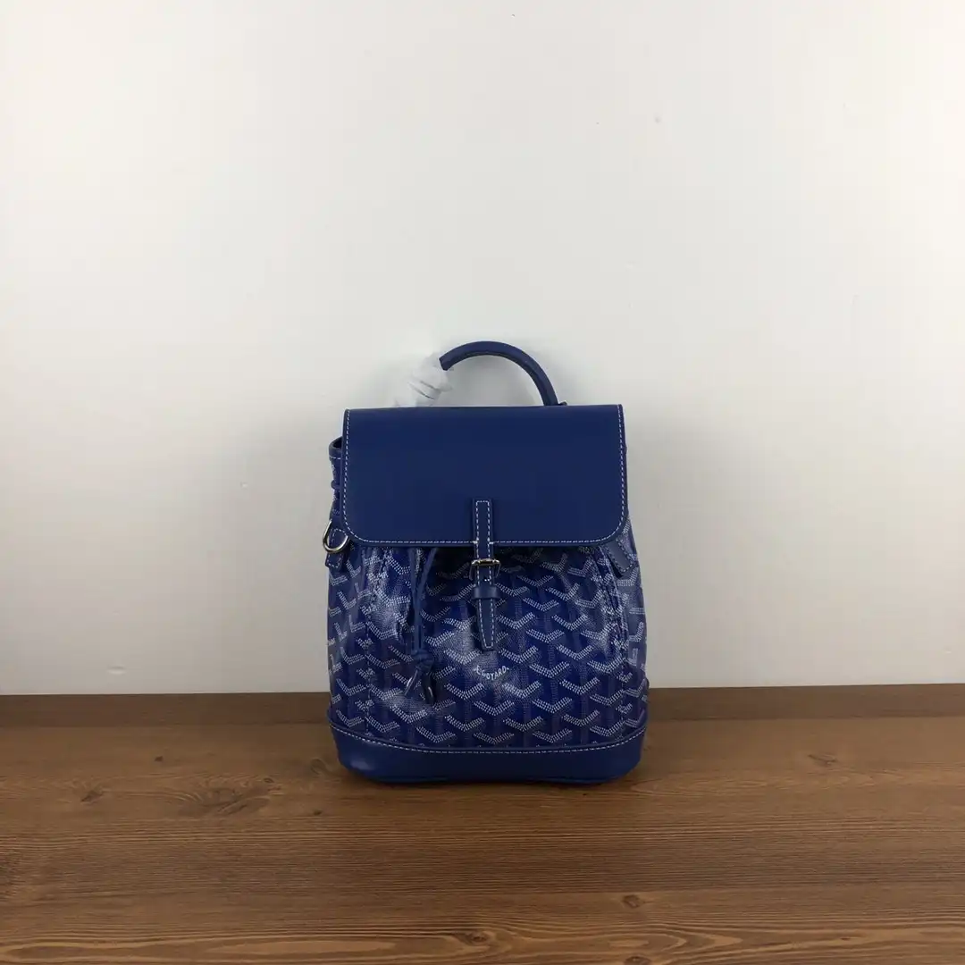 Cheap GOYARD Alpin Mini Backpack 0202